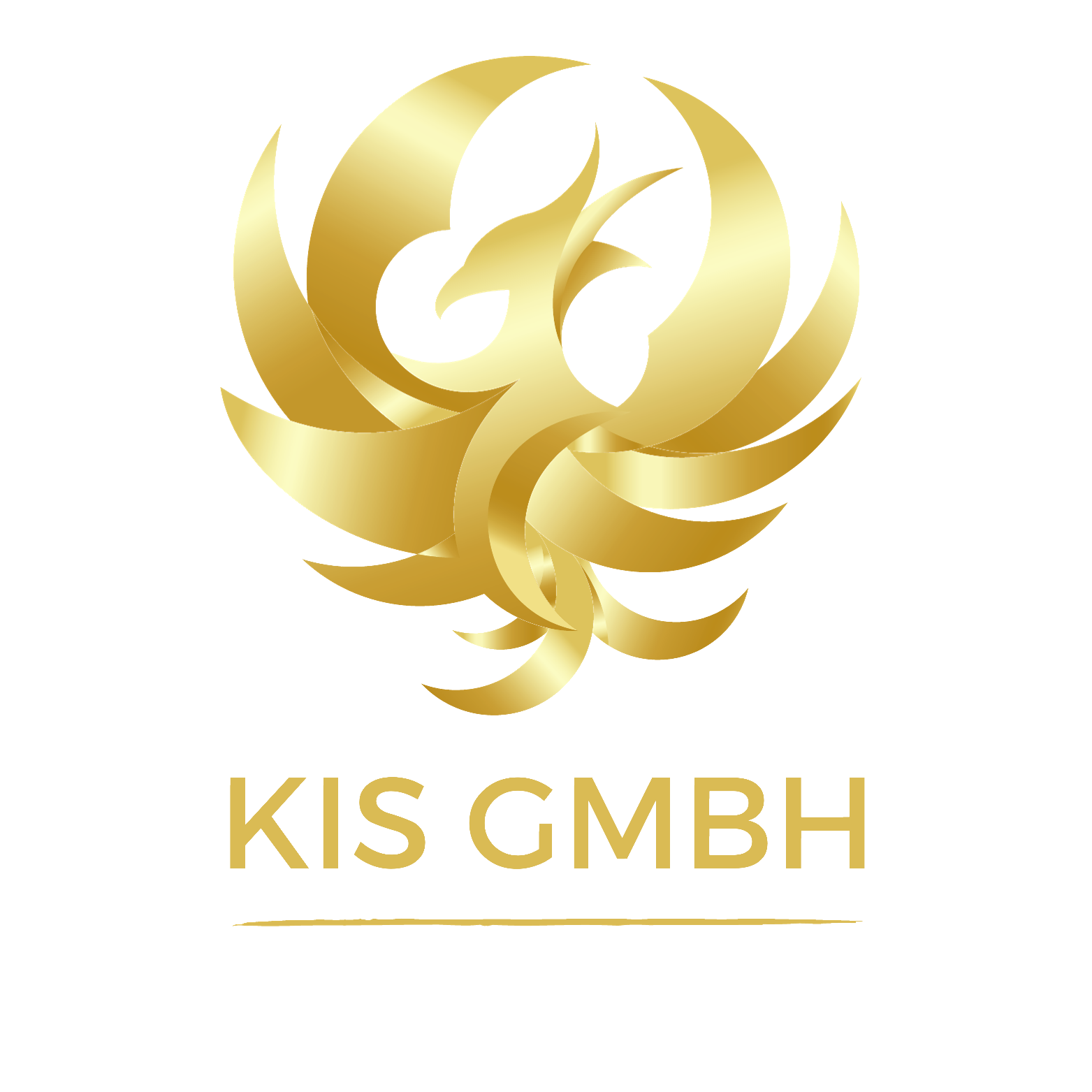Logo der KiS GmbH